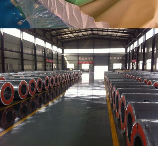 Color Coated Pregalvanized Steel Coil Steel Sheet