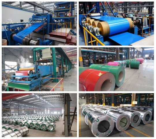 Prepainted Galvanized Steel Coil 2019