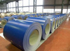 Prepainted Galvanized Dx51d Z100 Color Coated Steel Coil 