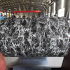 Marble Design PPGI Printed Pattern Steel Coil 