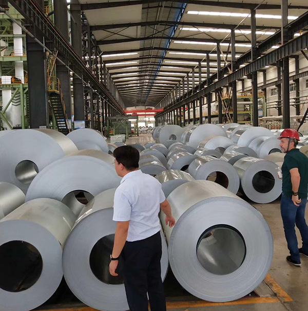 Hot Dipped Galvanized Steel Coils Zinc Coating Sheet